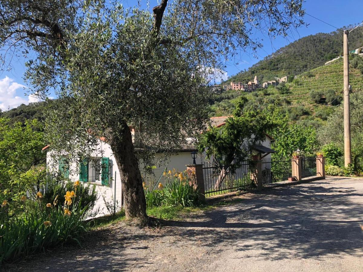 Dolcevia Apartment Levanto Exterior photo